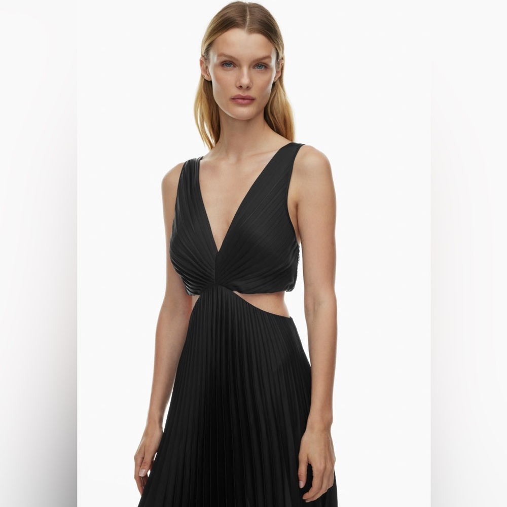 Aritzia Dress